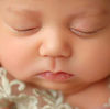 melissaryan8679